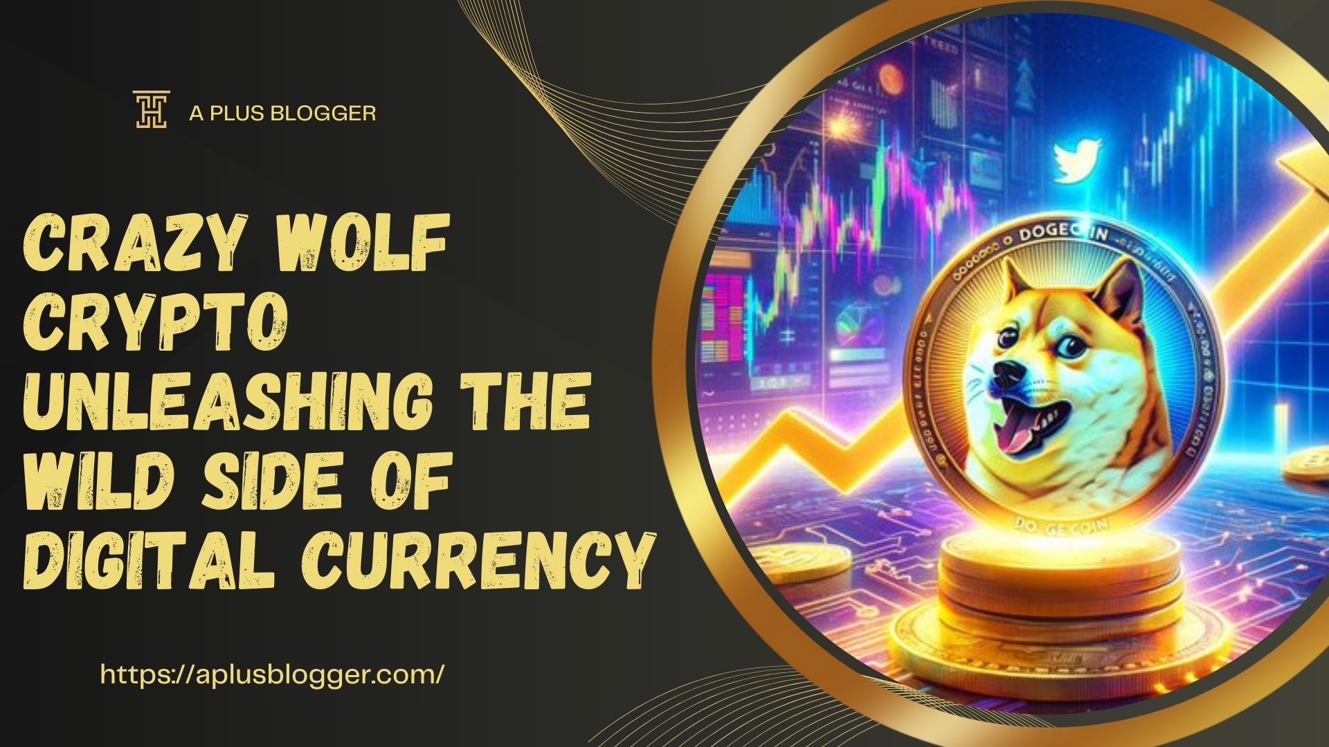 crazy wolf crypto