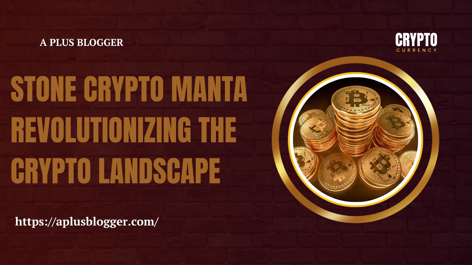 stone crypto manta